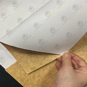 coated-board-kraft-back