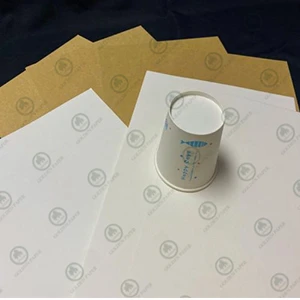 uncoated-cupstock-base-paper